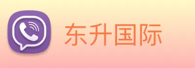 东升国际 Logo